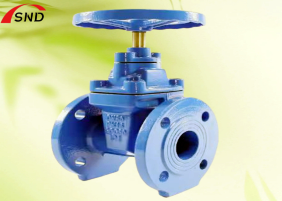 Cast Iron Gate Valves For Industrial Chemical Industry