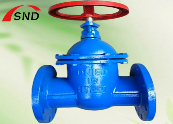 DN65 PN16 Rising Stem Flange Gate Valve HT200 for Piping Systems